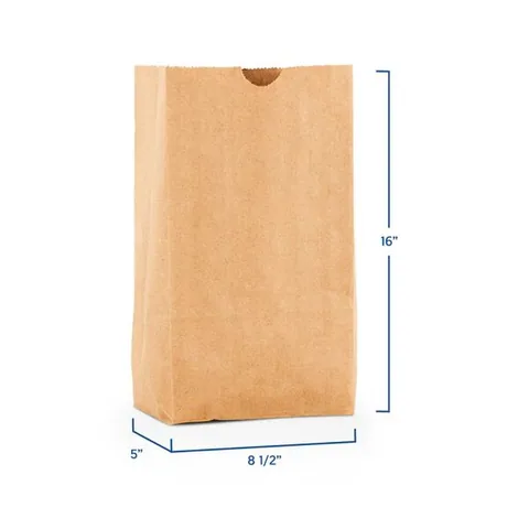 Bolsa Papel No.20 (500u)