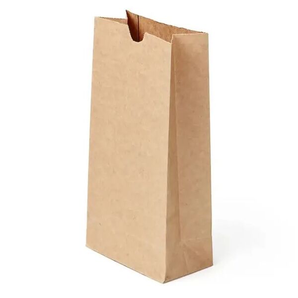 Bolsa Papel No.1 (500u×8)