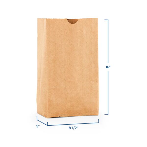 Bolsa Papel No.20 (500u)