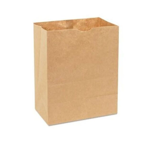 Bolsa Papel No.35 (500u)