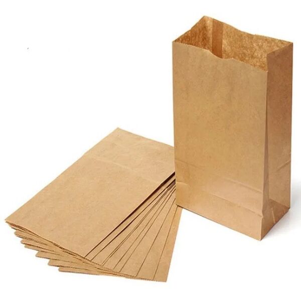 Bolsa Papel No.5 (500u×4)